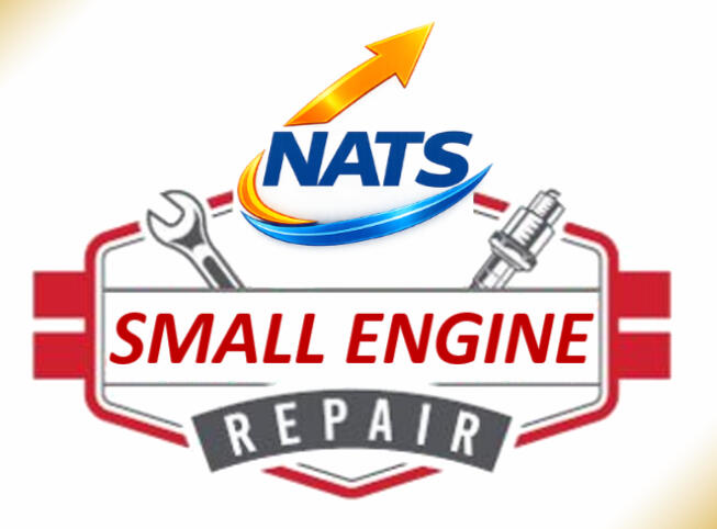 NATS Logo